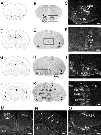 Fig06