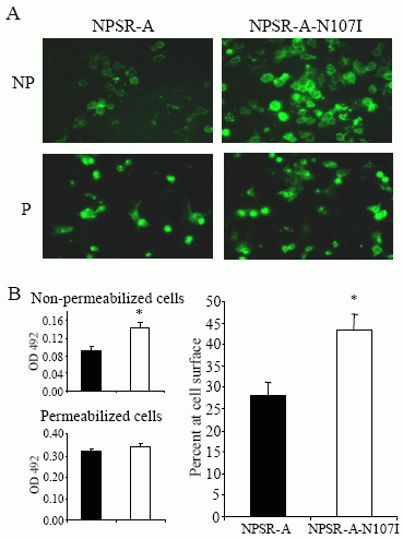 NPSR