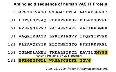 vasohibin