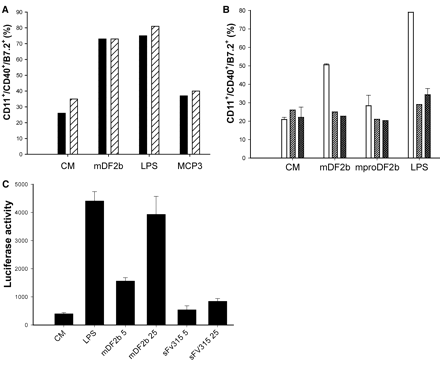 beta-defensin 2