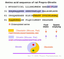 Prepro-Ghrelin