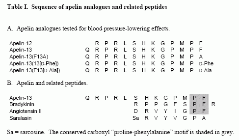 Apelin