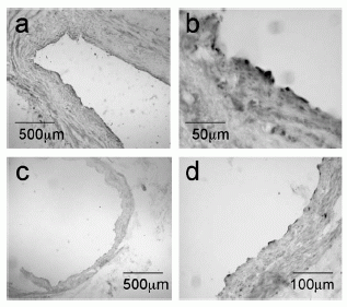 fig05