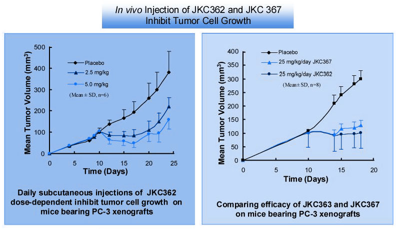 in vivo injection inhibit tumor