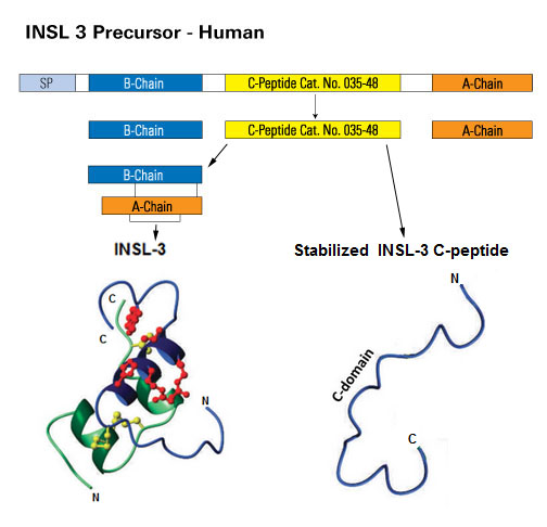 pro insl 3 to insl 3