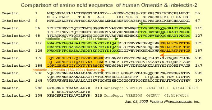 intelectin