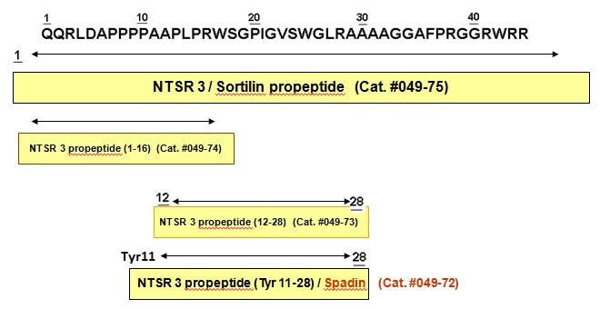 NTSR 3 Prohomone Schematic
