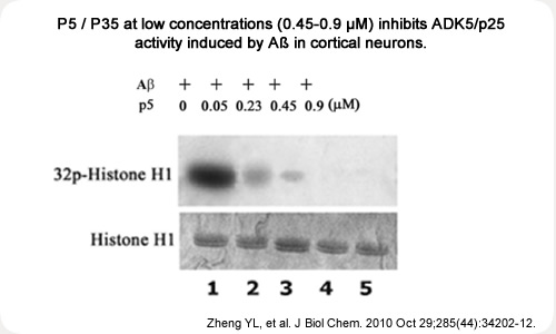 P5  at low concentrations (0.45-0.9 M) inhibits ADK5/p25 