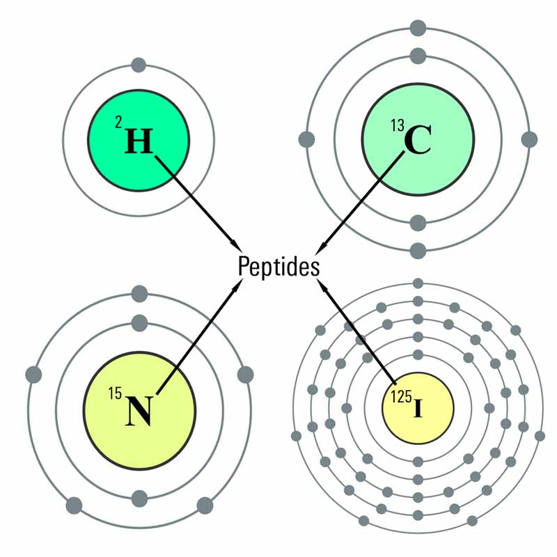 isotope labeling