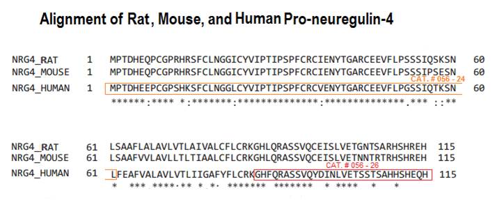 alignment of pro-neurogulin-4