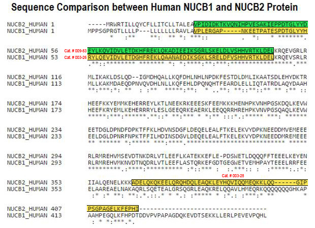 sequence comparison between nucb1 & nucb2