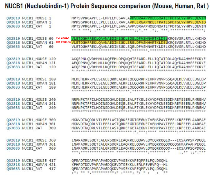 nucb1 sequence comprison between human rat mouse