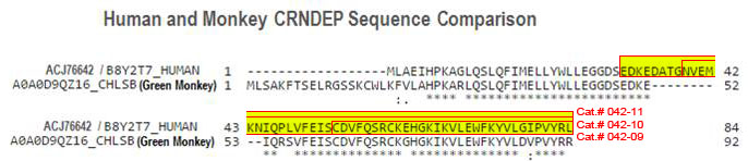 CRNDEP comprison