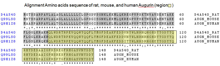 alignment of human rat mouse augurin