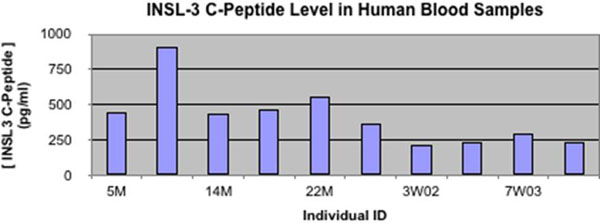 INSL3 c peptide level