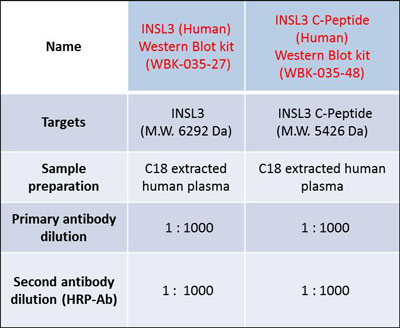 INSL3 WB Application