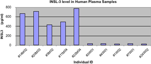 INSL3 level