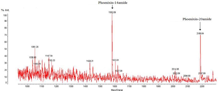 Phoenixin Mspec