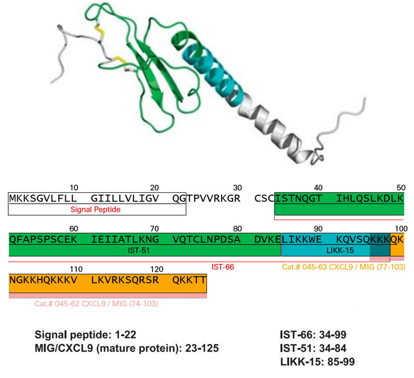 CXCL9 Sequence