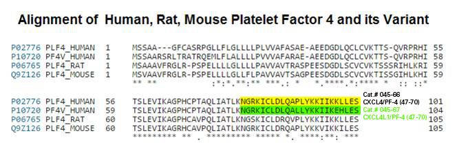 CXCL4 seq comprison