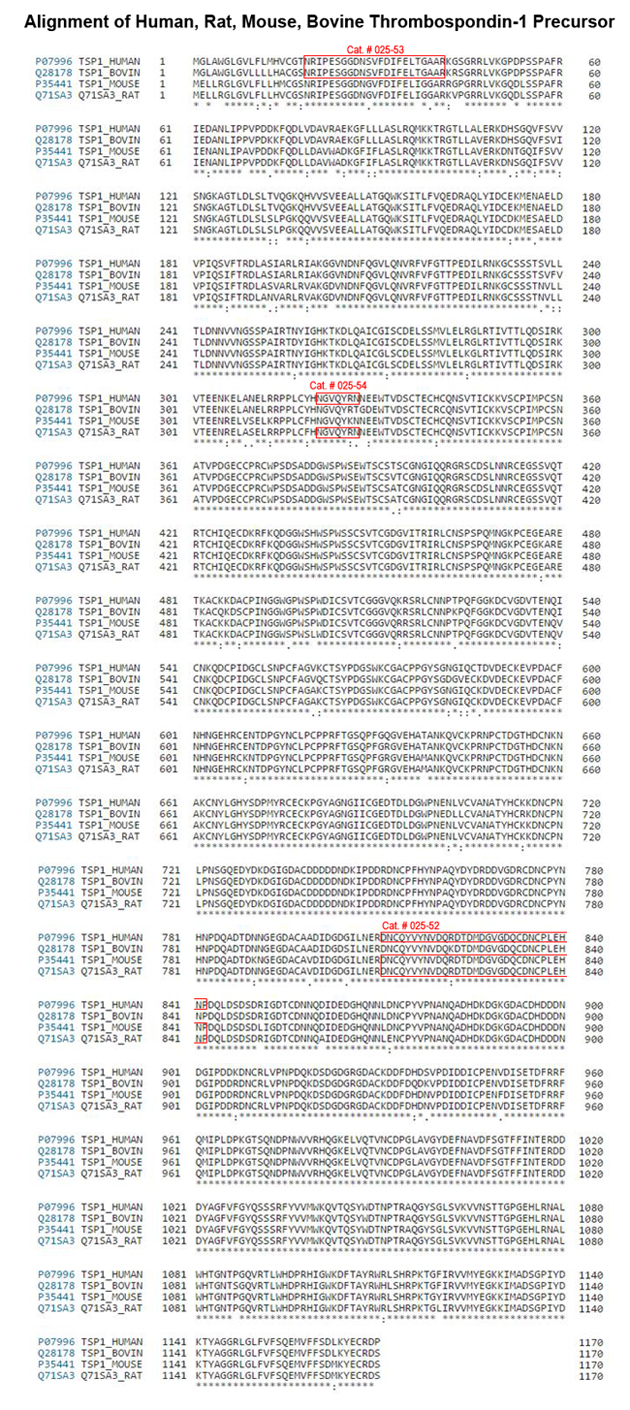 thrombospondin-1 sequence