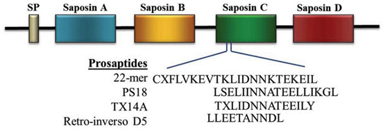 prosaposin and prosaptides