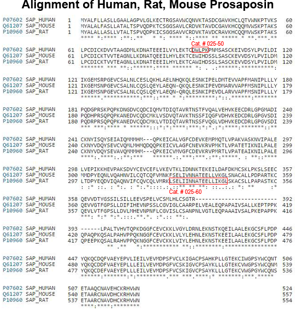 prosaposin sequence